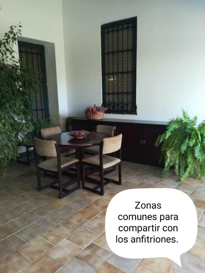 Sun & Palm Trees Apartment Balsares Exterior photo